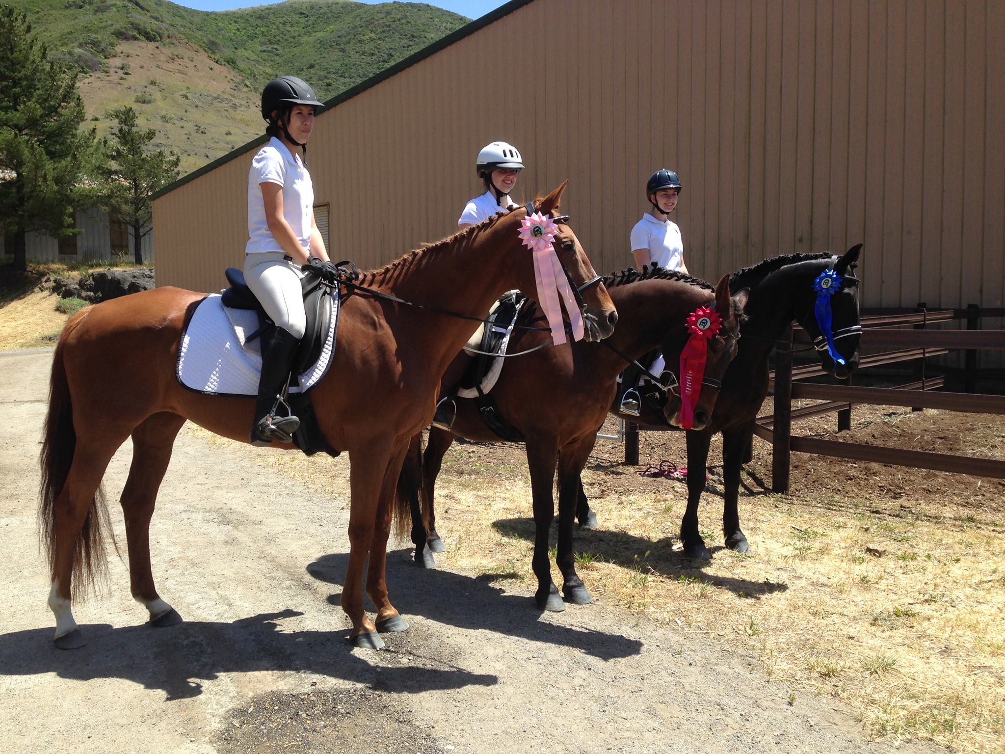 Sinasohn Training | Moss Beach CA