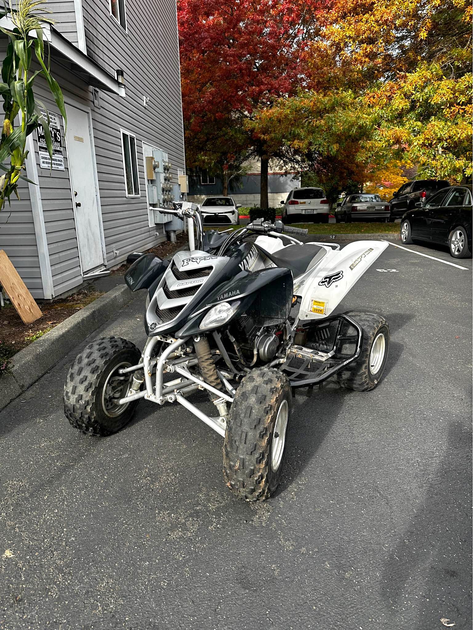 2001 Yamaha Raptor