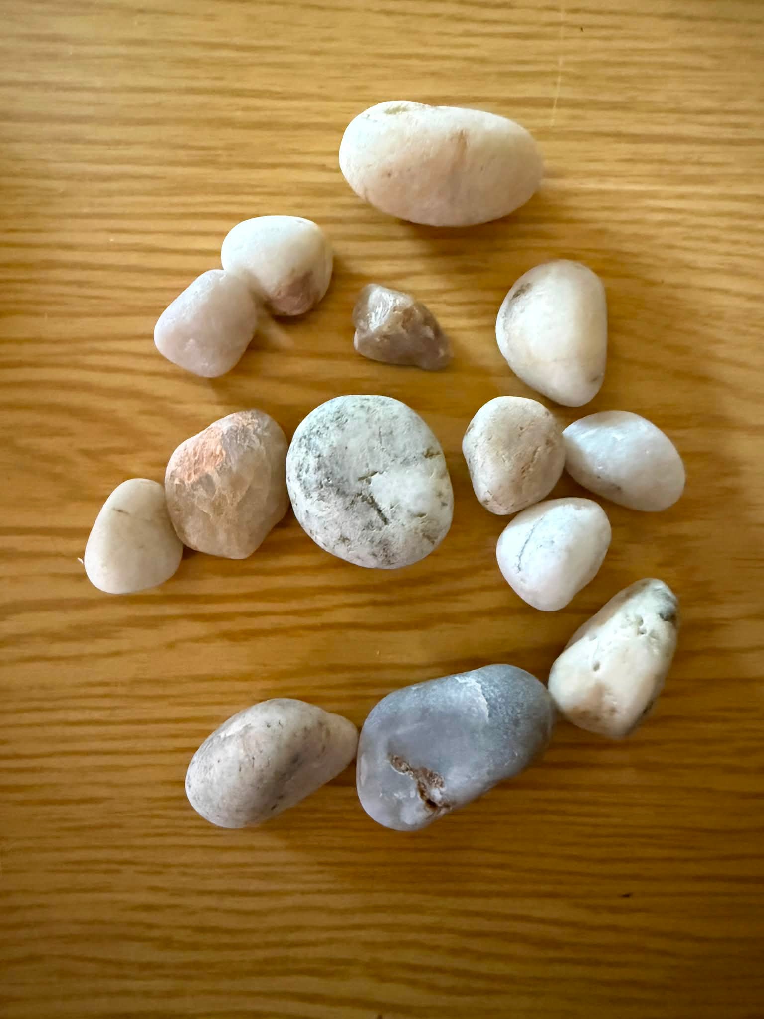 美石　鹿の子石　珍品 美石 鹿の子石 珍品 美石 鹿の子石 珍品 美石 鹿の子石 珍品 【公式通販】