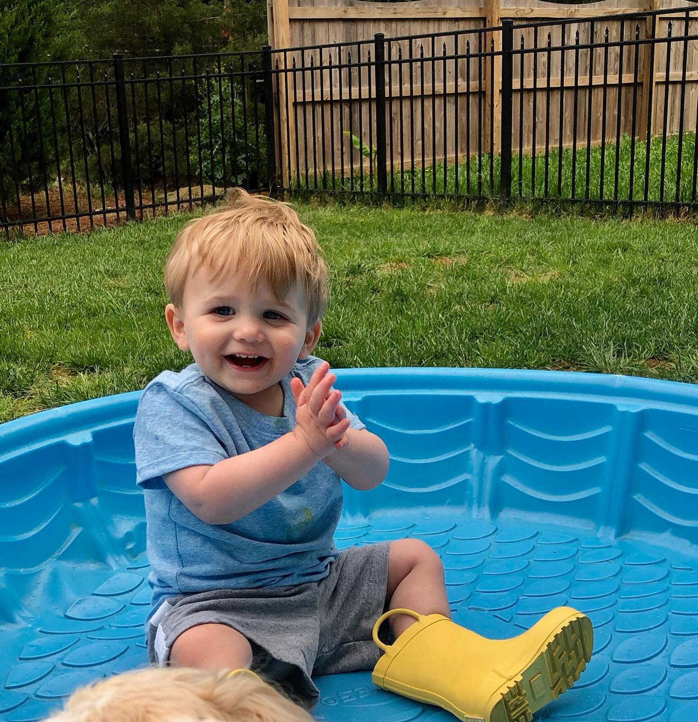 Eli Rhodes - This little man is 1 1/2 today! @rhodes_amyc... | Facebook