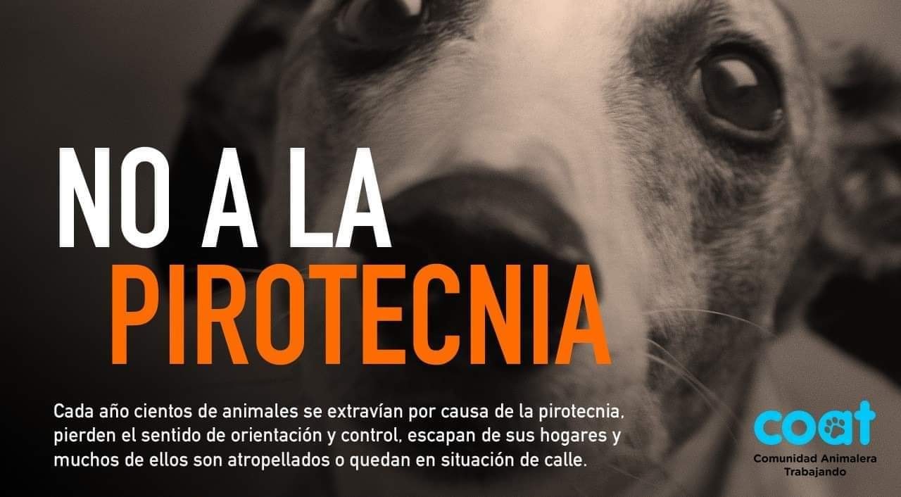 Reciklan | Hermosillo