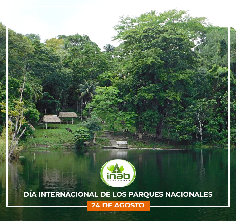 INAB Guatemala - #Entérate 🌱🌳🌲🍄🦞🐢🐺🐵-24 de agosto- Día... | Facebook