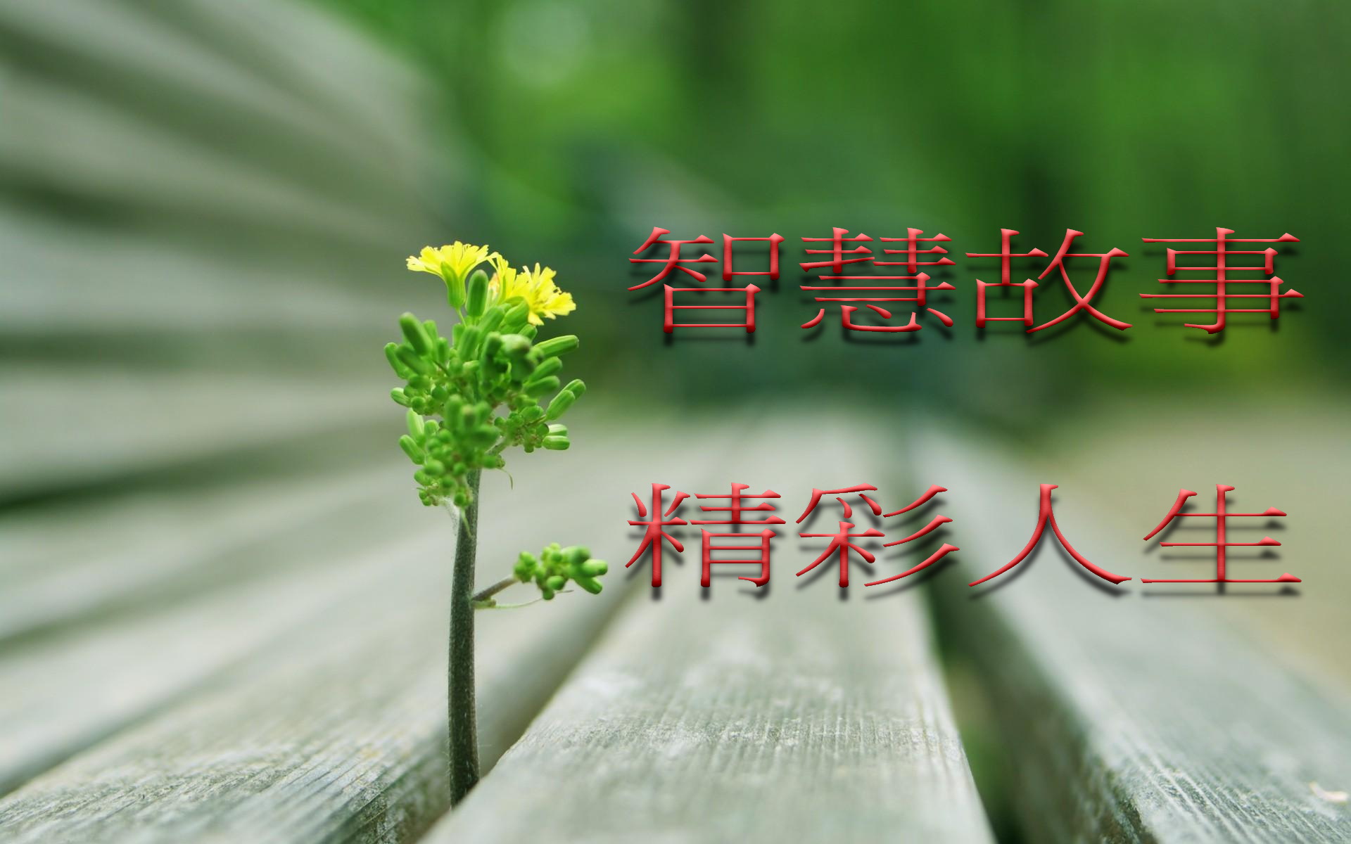 智慧人生 - 仙佛慈語： 修道不怕慢，只怕你不走；辦道不怕晚，只怕你不辦。 天天快樂，天天是佛。眼光不要看的太遠、太空虛，只要把每一件事做好 ...