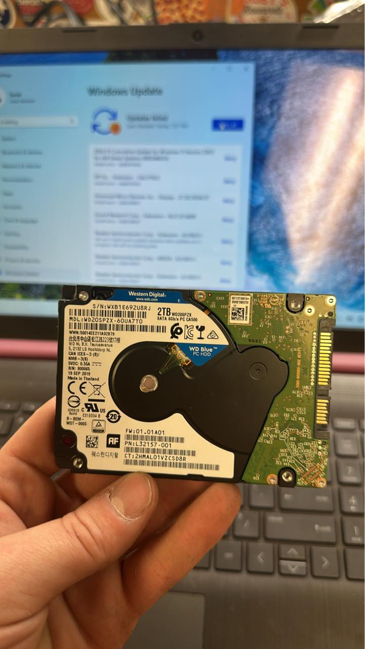 Hard Disk Drives vs Solid-State Drives for Storage