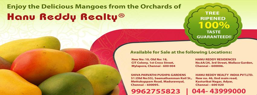Hanu Reddy Mangoes | Chennai