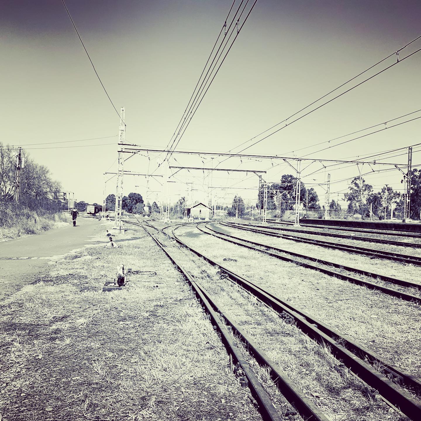 Maponya Intergrated System | Johannesburg