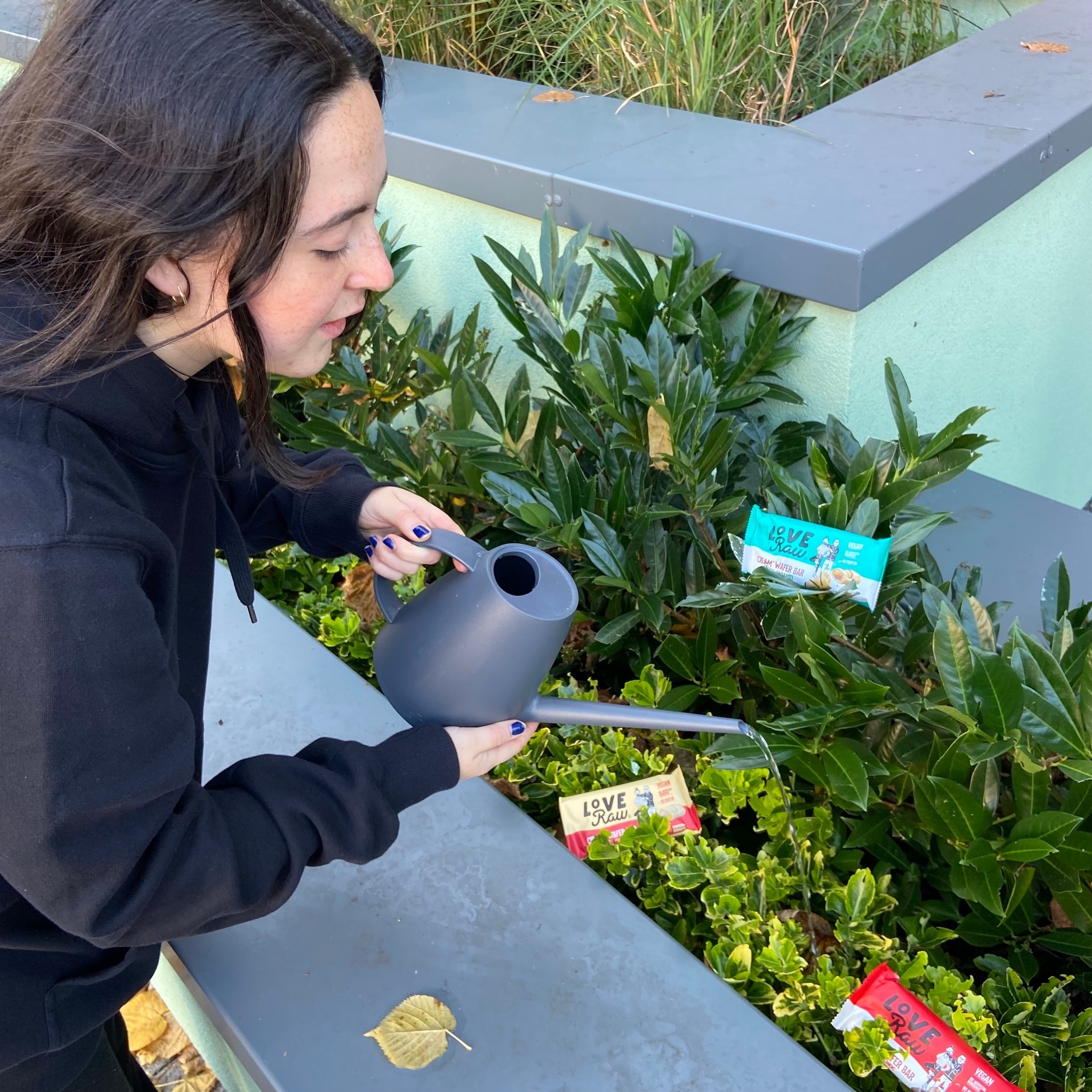 LoveRaw - How to maintain your wafer trees: A GUIDE FOR...