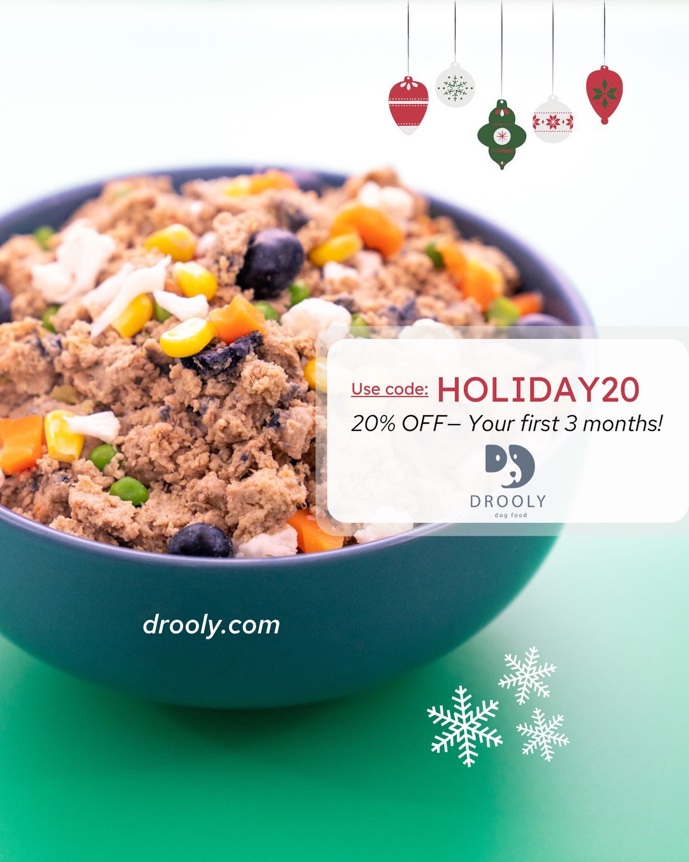 Drooly Dog Food