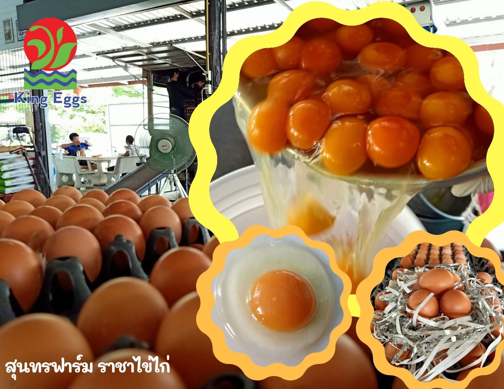 🥚ไข่ไก่สด ใหม่... - คิงส์ เอ้กส์ - ราชาไข่ไก่ - King Eggs | Facebook