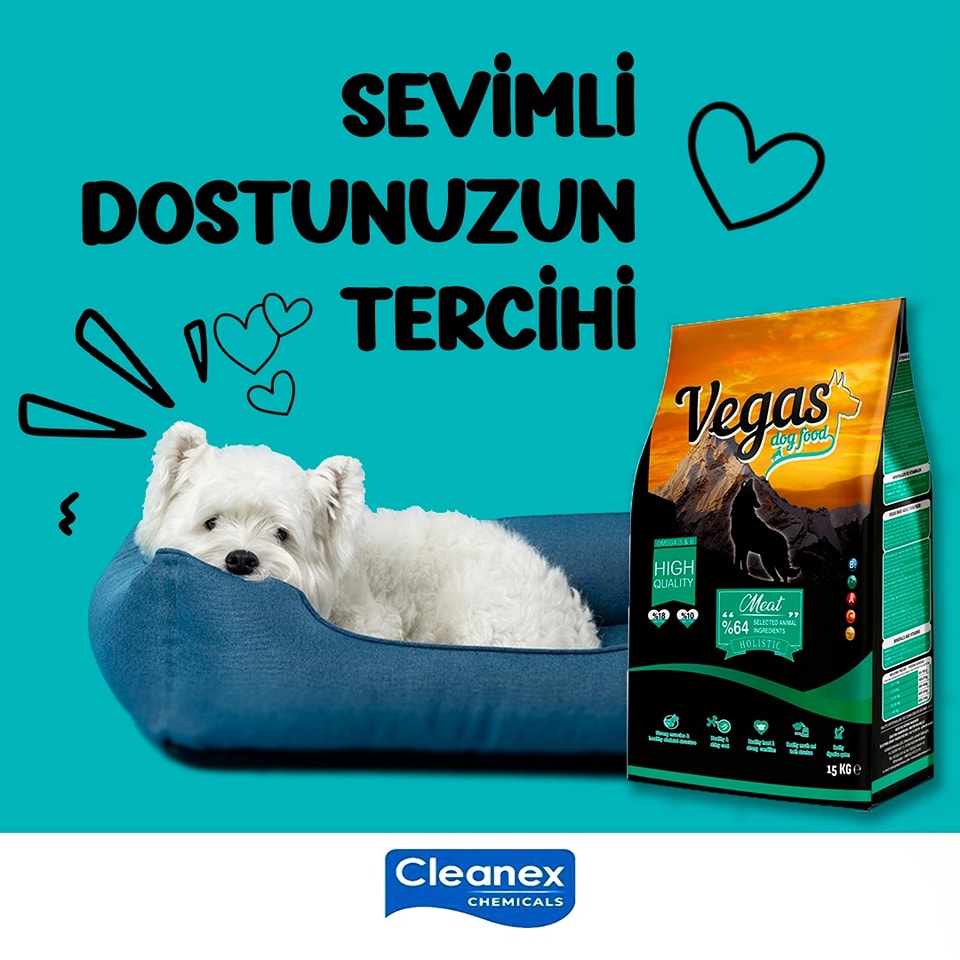 Cleanex | Nicosia