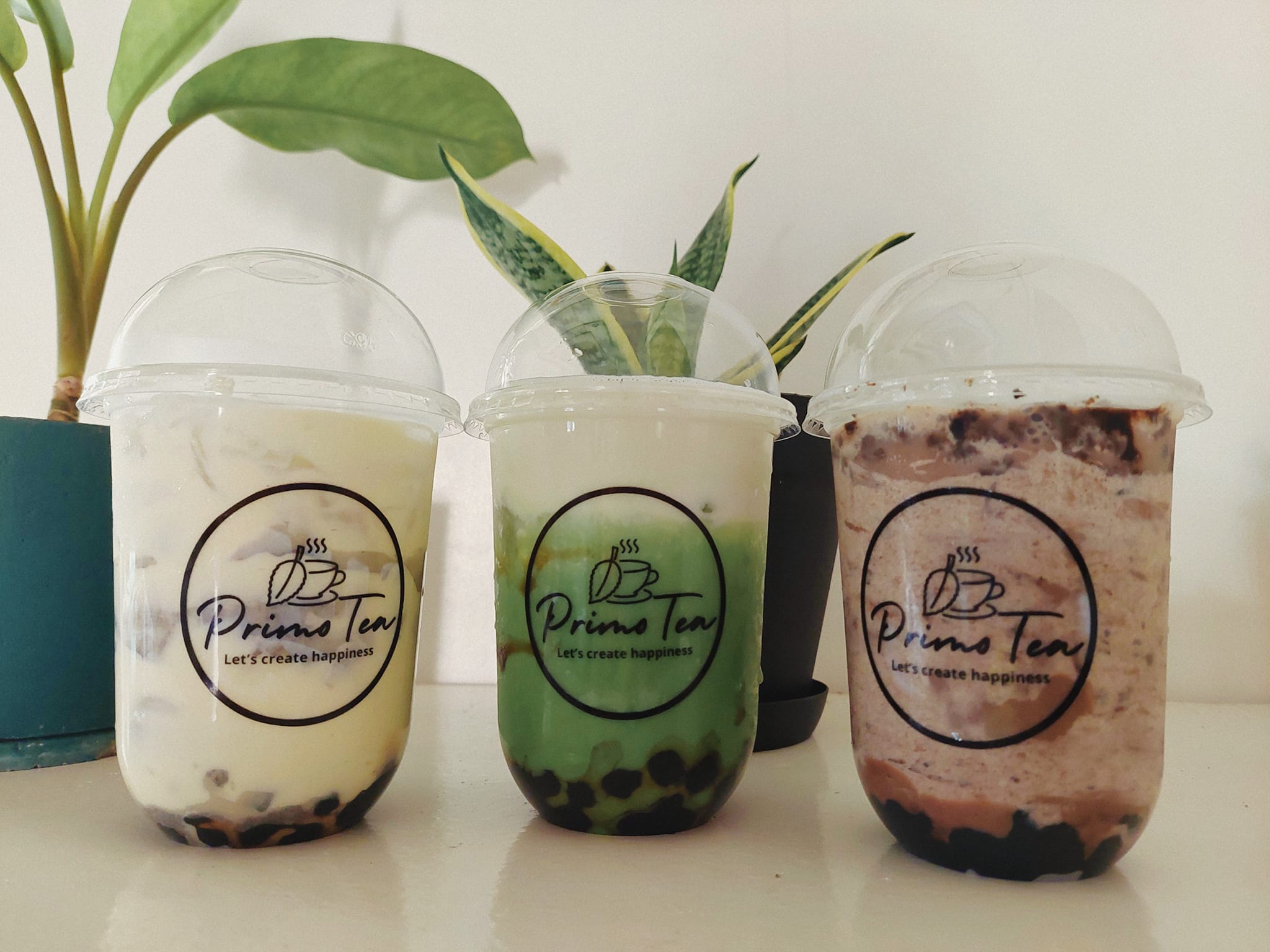 Primo Tea - Home