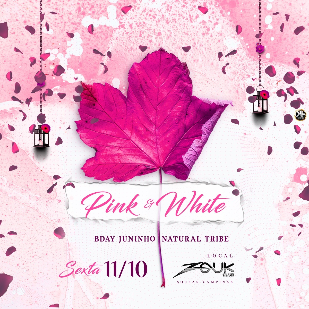 Pink & White - PROMOÇÃO - Barja | NOVA Bookings (01 VIP) 🇧🇷 👍🏼 Curta ...