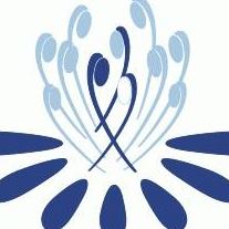 Meet the Speakers - ASSCID Webinar Dr Nikki Liew The experience of ...