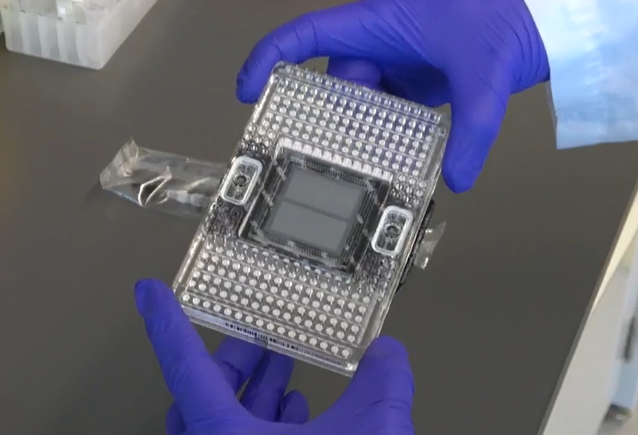 Standard BioTools - We’ve created an RUO assay that can evolve with its ...
