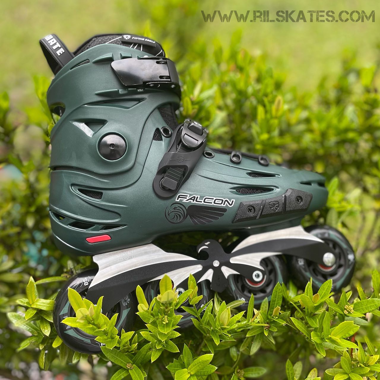 Ril Skates - Flying Eagle F6S Falcon - DARK GREEN Available now at 