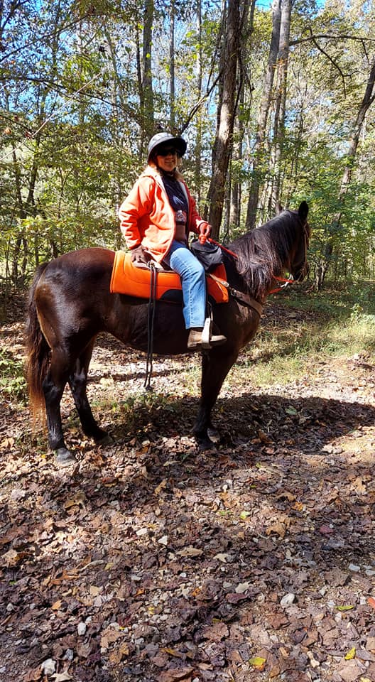 CC Acres Horseback... - CC Acres Horseback Riding Adventures