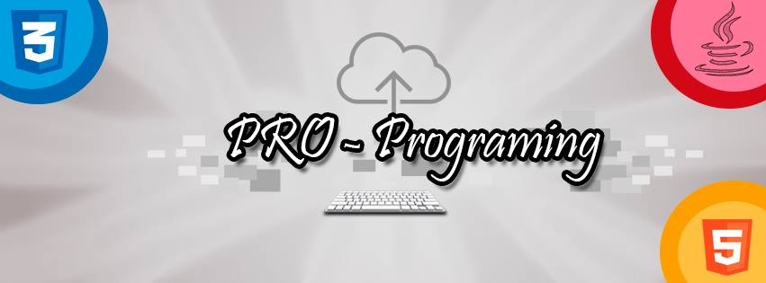 PRO - Programing
