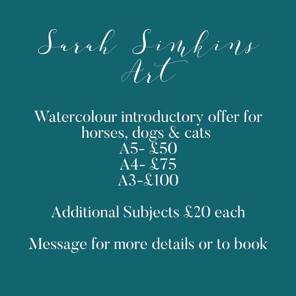 I'm now also taking on commissions for... - Sarah Simkins Art