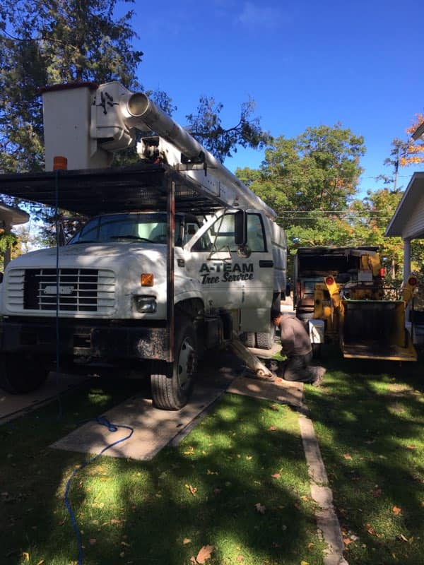 A-Team Tree Service | Charlevoix MI