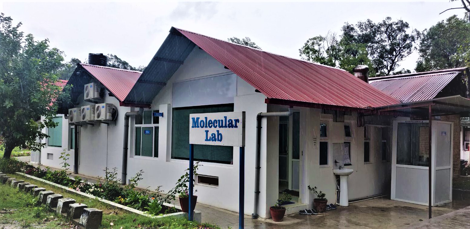 Sara Molecular Lab | Lalitpur