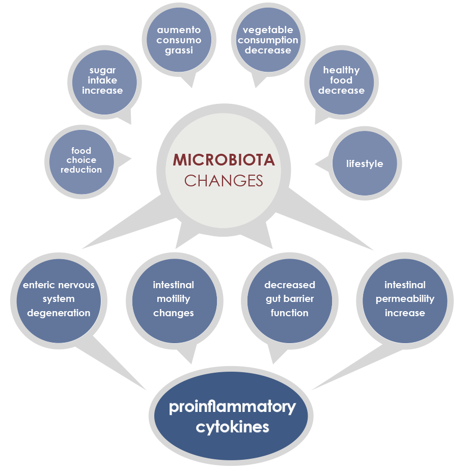 Where does the immune system... - Novick Integrative Medicine