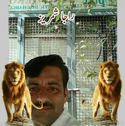Raja Shamraiz Shami