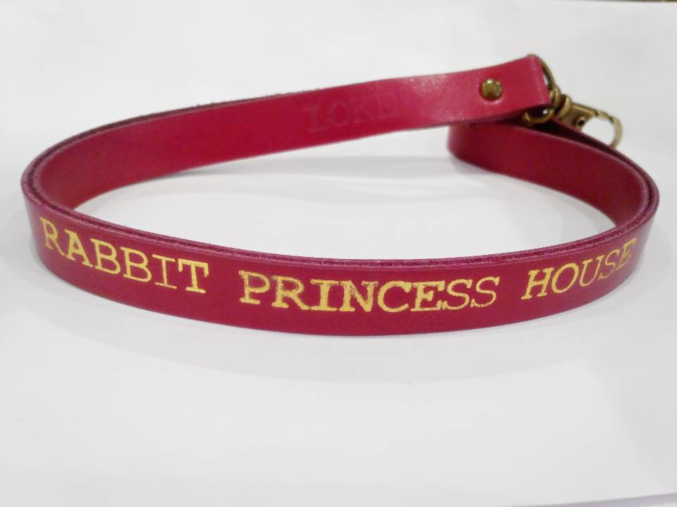 Rabbit Princess House