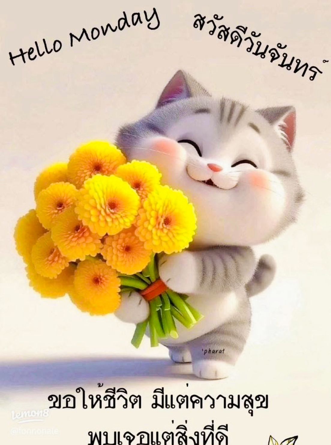 Rasta - Good morning สวัสดีวันจันทร์ เริ่มต้นสัปดาห์ด้วยรอยยิ้ม ส่งความ ...
