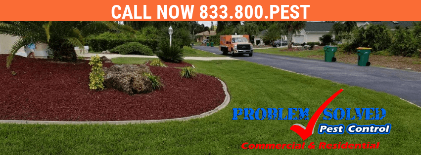 Problem Solved Pest Control | Port Charlotte FL