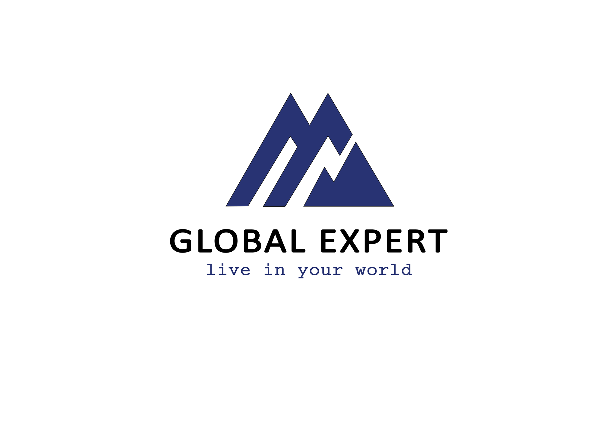 Global Expert