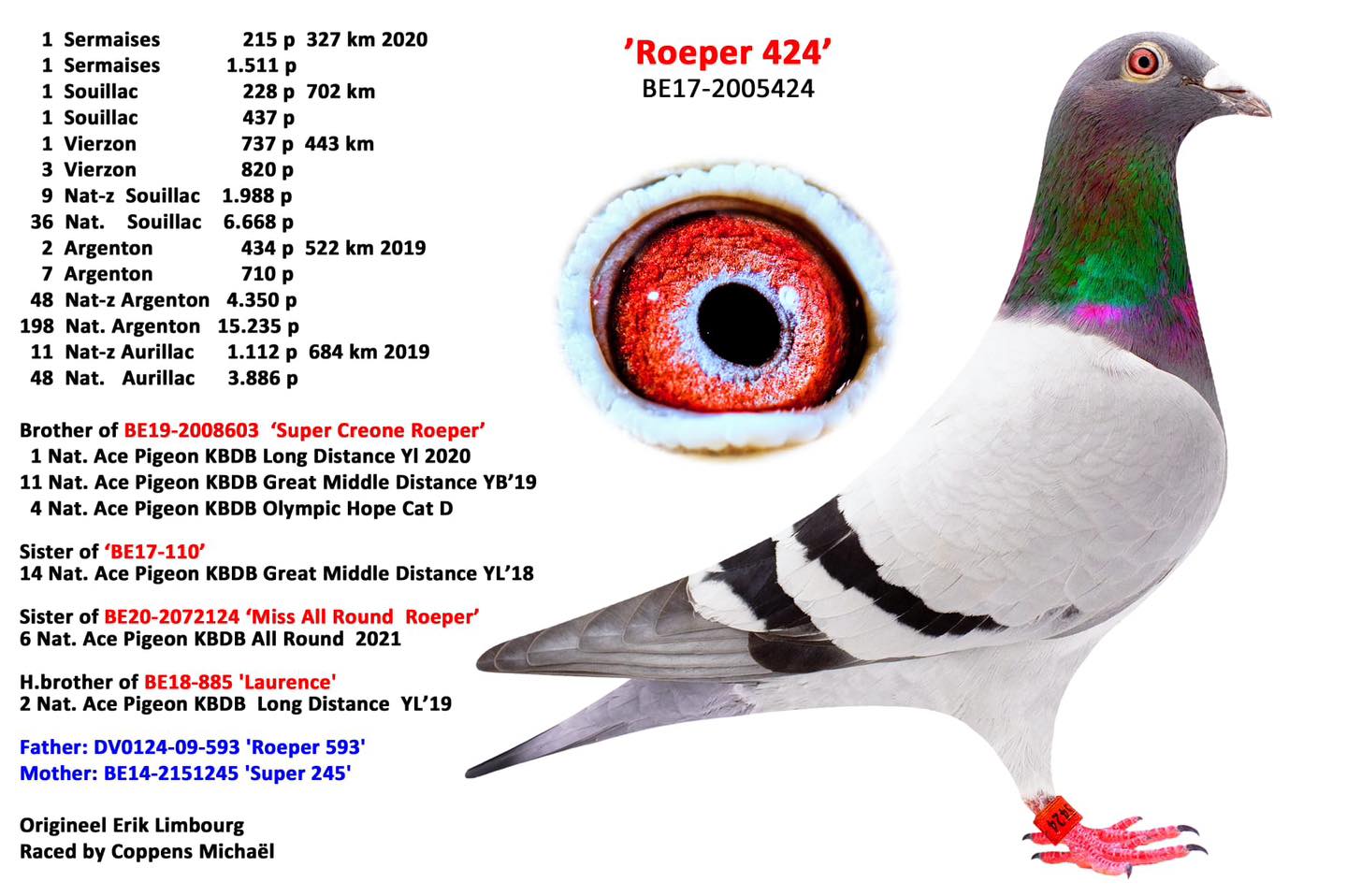 EPA - Exclusive Pigeon... - EPA - Exclusive Pigeon Auctions