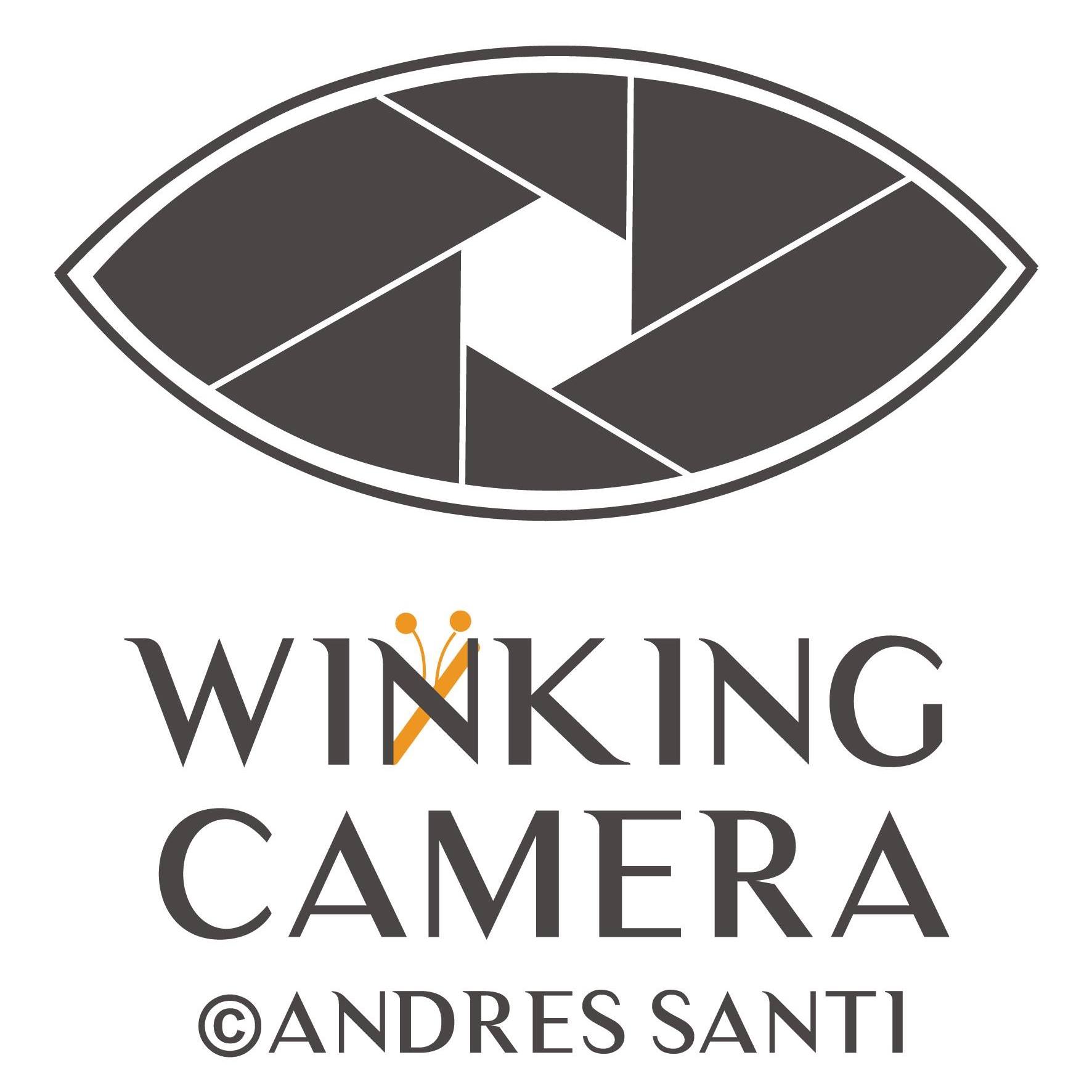 Winking Camera