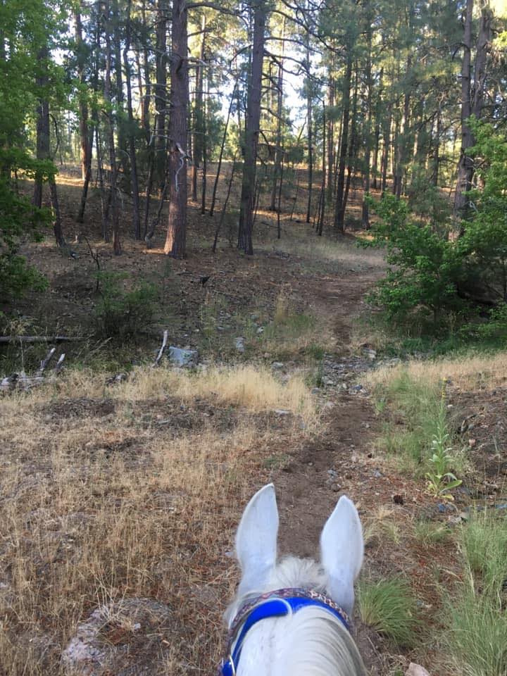Saorsa Horseback Riding | Woodland Park CO