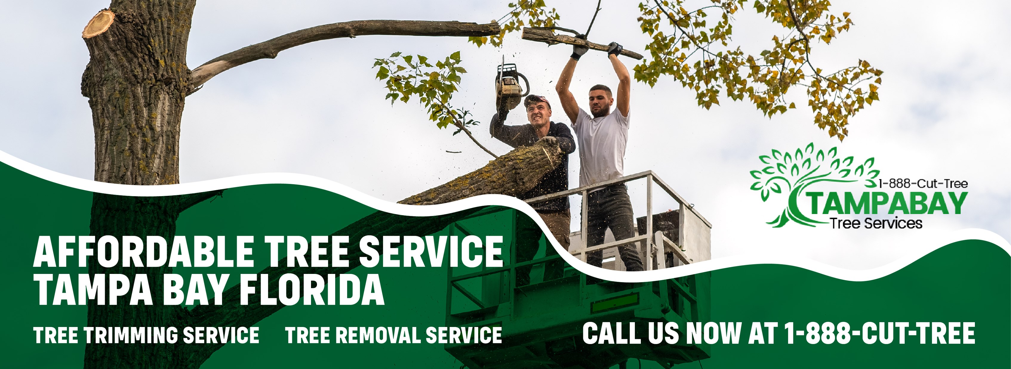 Tampa Bay Tree Services | Tampa FL