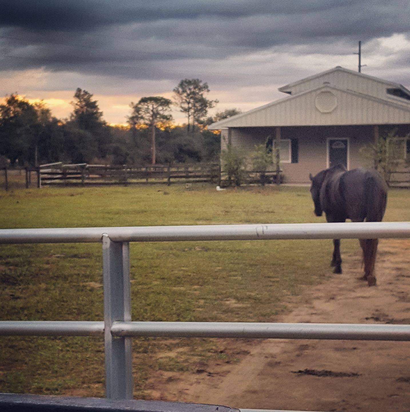 Red Sky Ranch - Red Sky Ranch added a new photo — at Red...