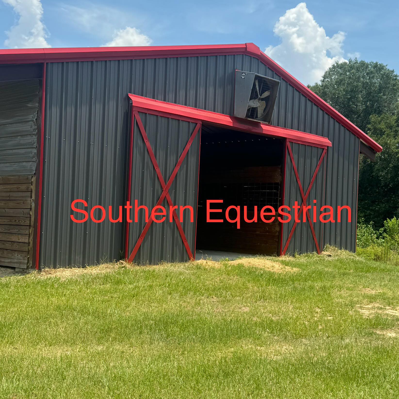 EQUESTRIANS EXCELLENCE LLC on Reels | Facebook