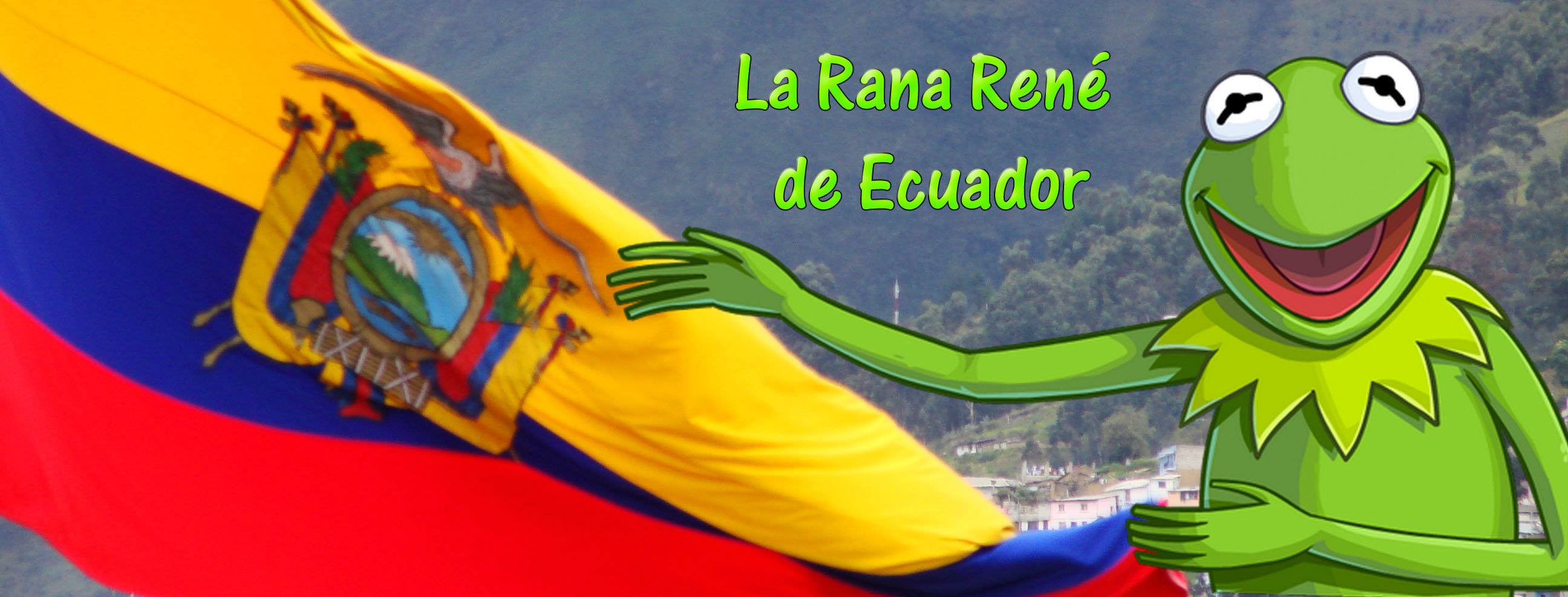La Rana René de Ecuador