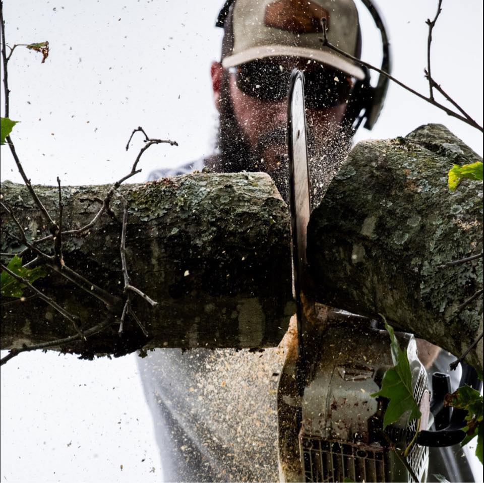 With Freedom, you can guarantee all your trees receive our VIP ...