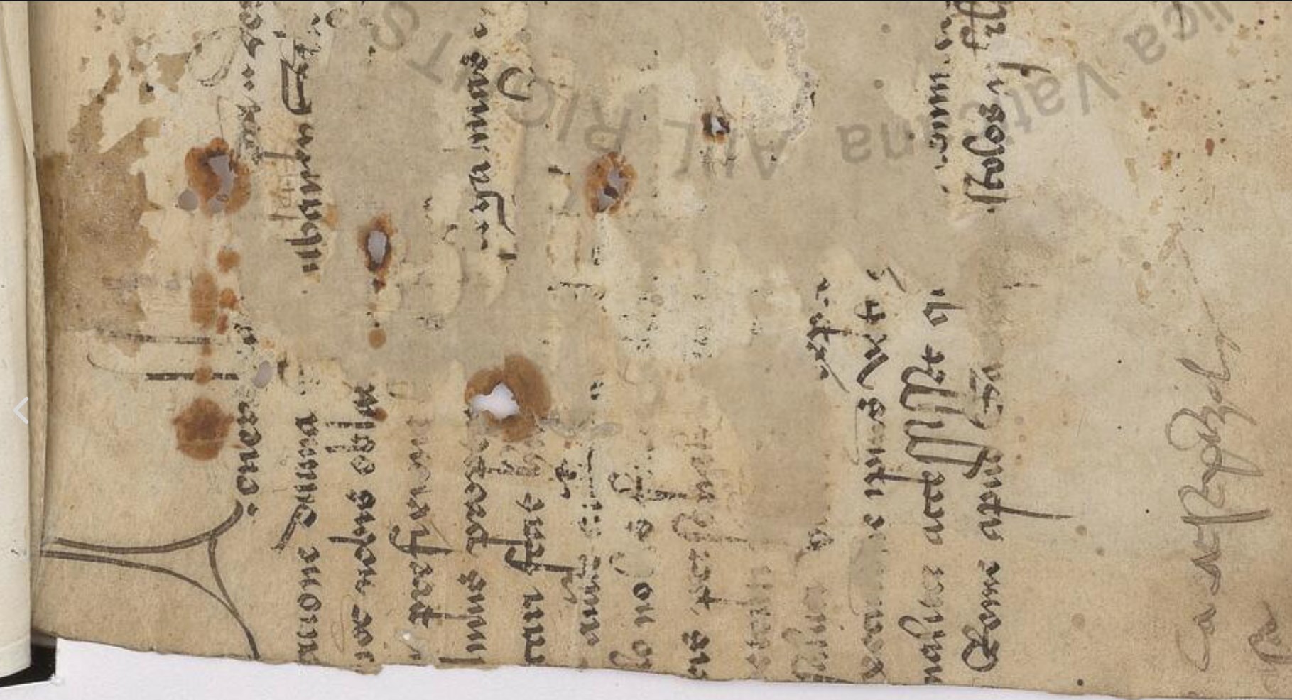 Lombardic pay dirt. Why they didn't... - JPanterCalligraphy | Facebook