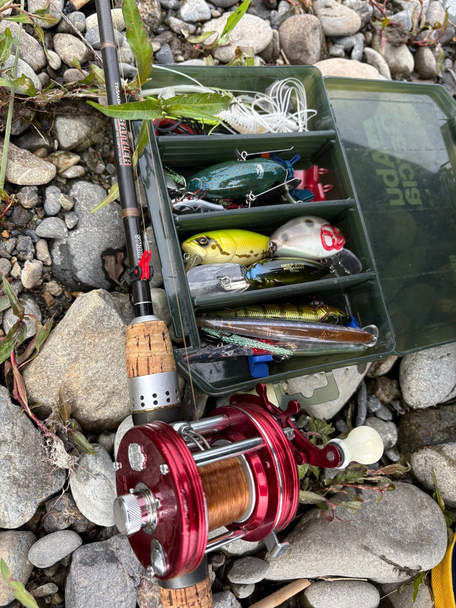 daiwa black gold heavy action spinning reel stores BG | Saltwater truck bed rod holder Color:Pink Abu Garcia Ambassadeur