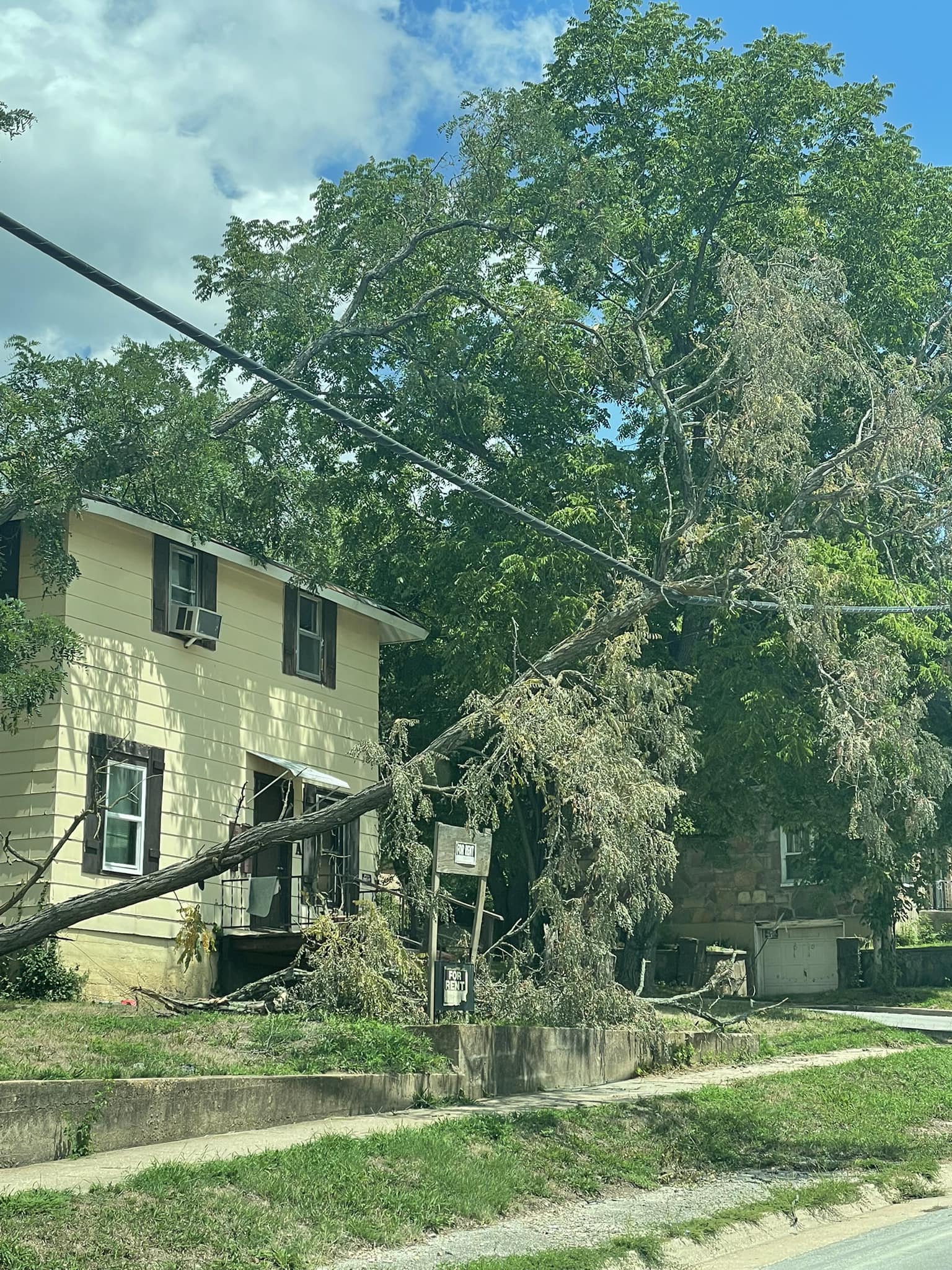 Rolla - The fire department has already checked this tree on the wires ...