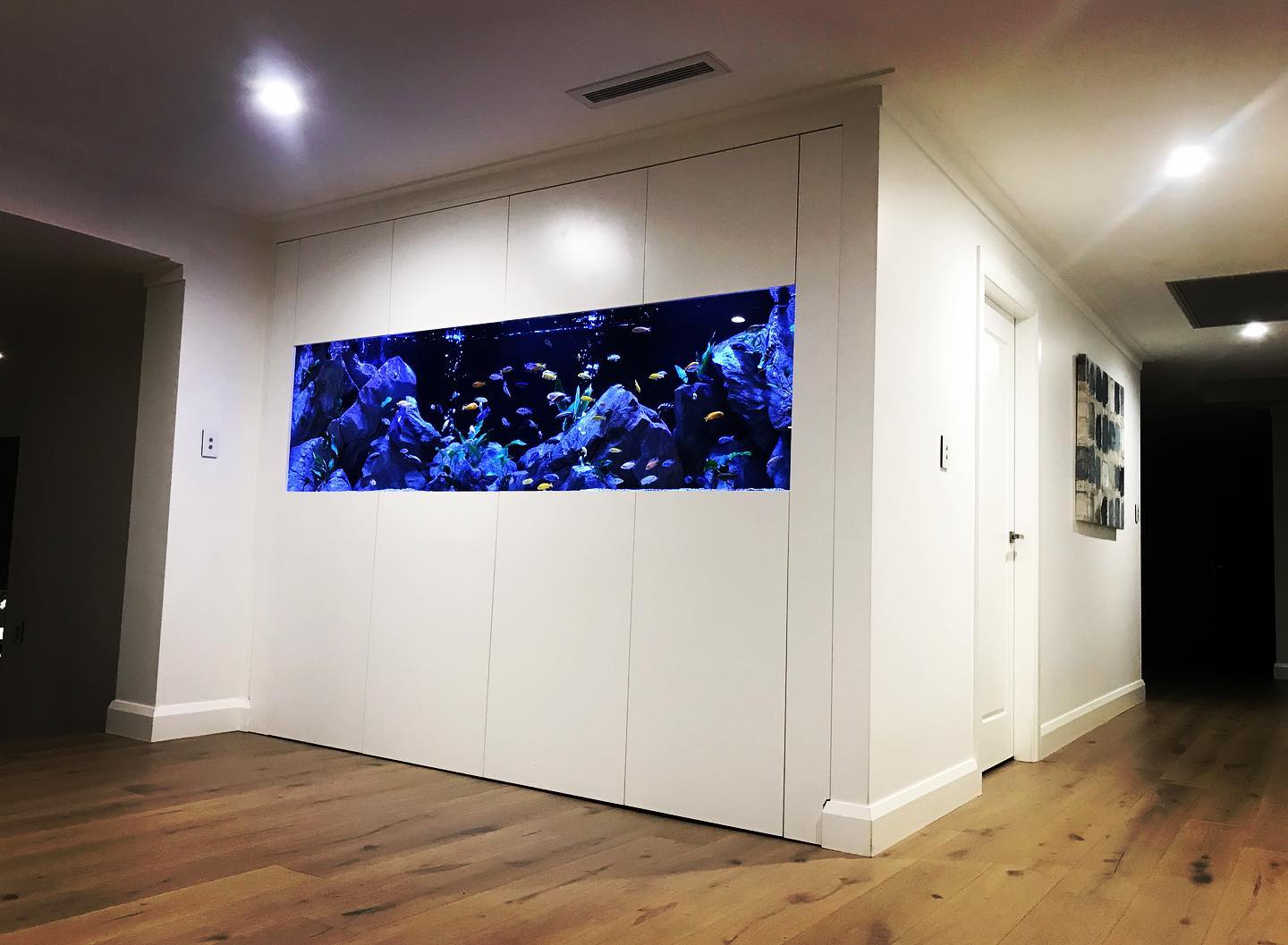 Viva L'aquarium - New client project in Oatlands commences for a room ...