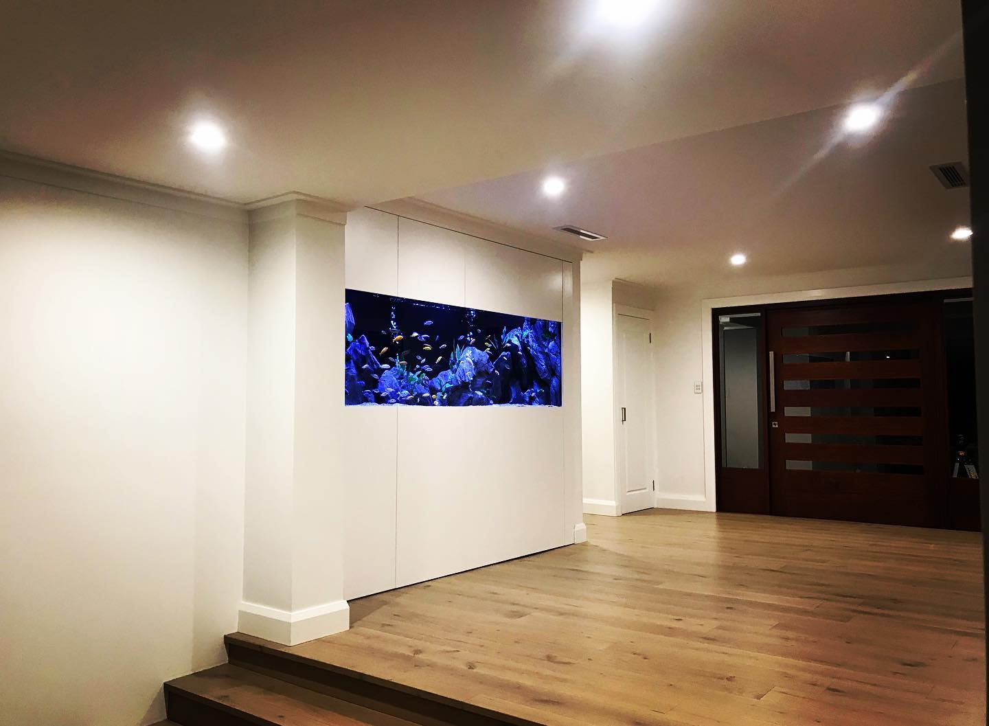 Viva L'aquarium - New client project in Oatlands commences for a room ...