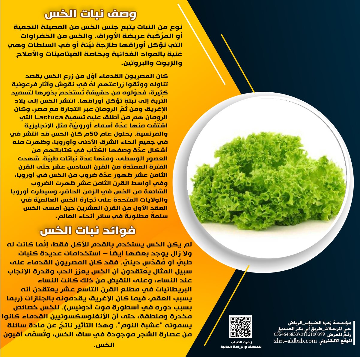 وصف نبات الخس... - معرض زهرة الضباب للحدائق والزراعة المائية | Facebook