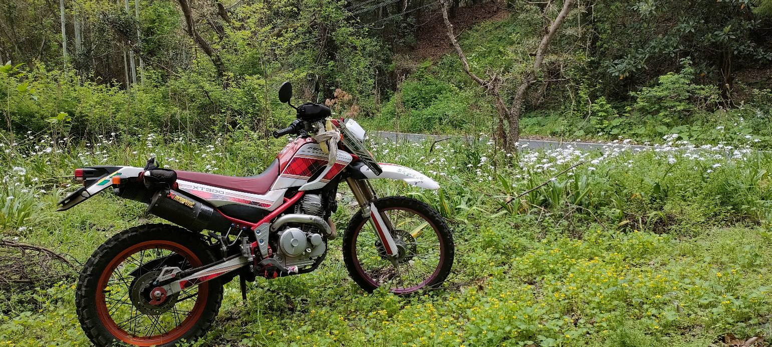 セロー発売35周年記念限定車