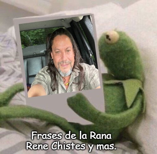 Frases de la Rana Rene Chistes y mas