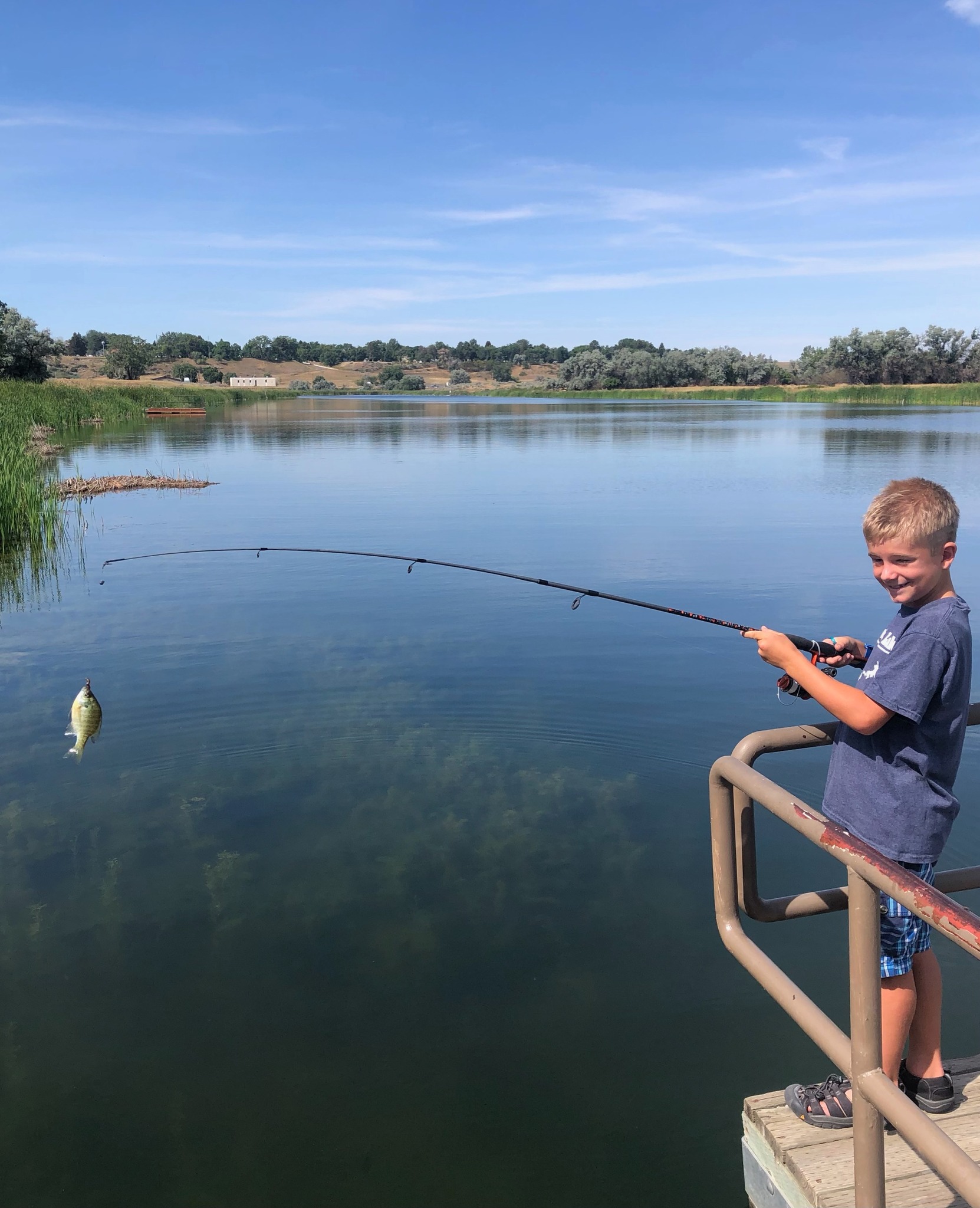 g loomis 10 weight fly rod G. NRX+ Saltwater making them incredibly enjoyable Color:Prym1 Camo Sleet Fishing - Lures & Baits Maine Lobster Boat Diagram