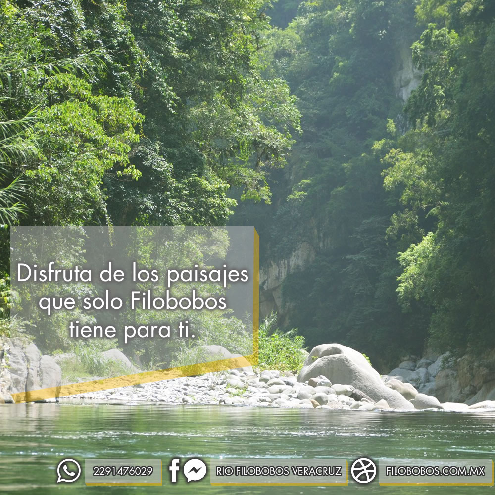Disfruta de los paisajes que solo... - Rio Filobobos Veracruz | Facebook