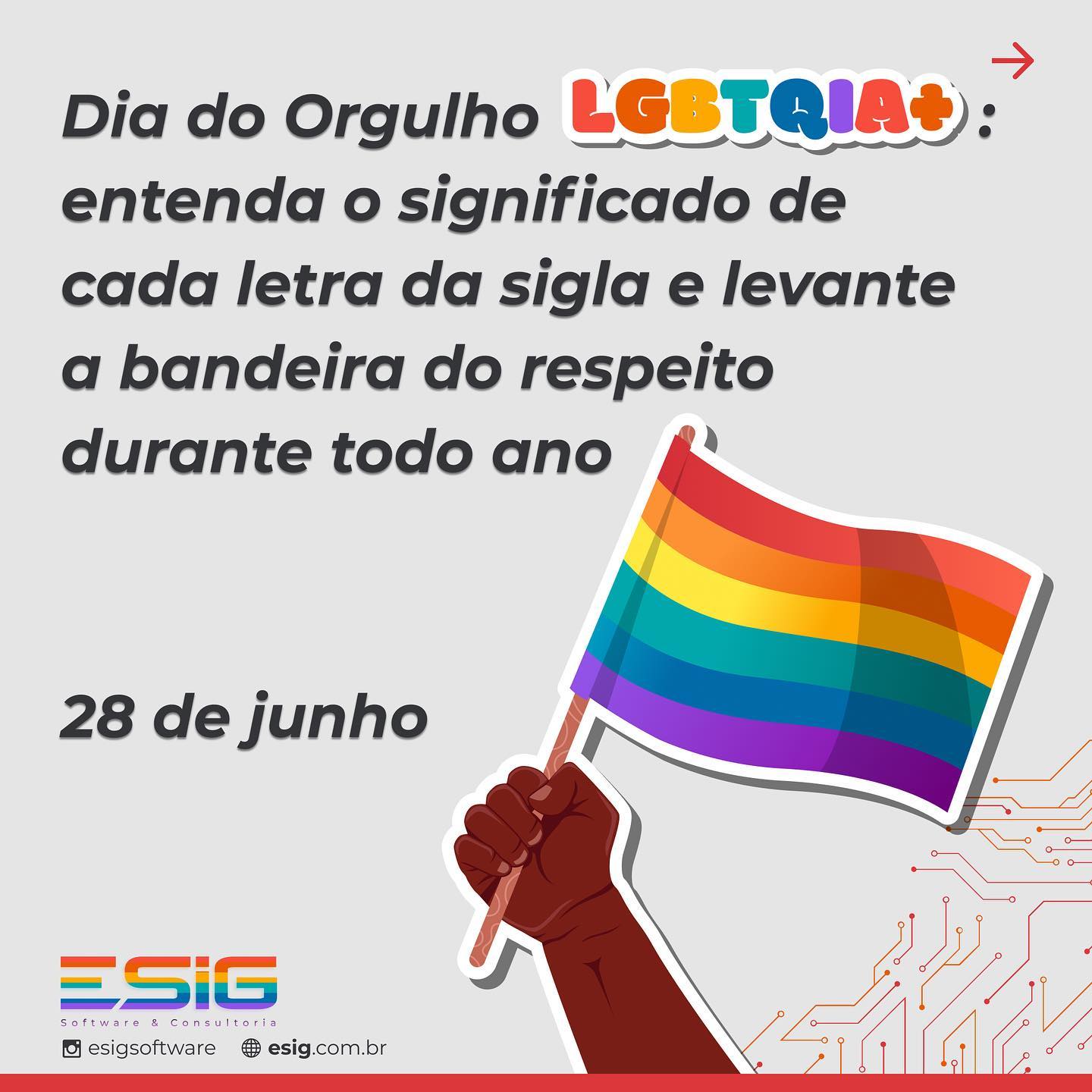 🏳️🏳‍🌈Hoje celebramos o Dia... - ESIG Software e Consultoria | Facebook