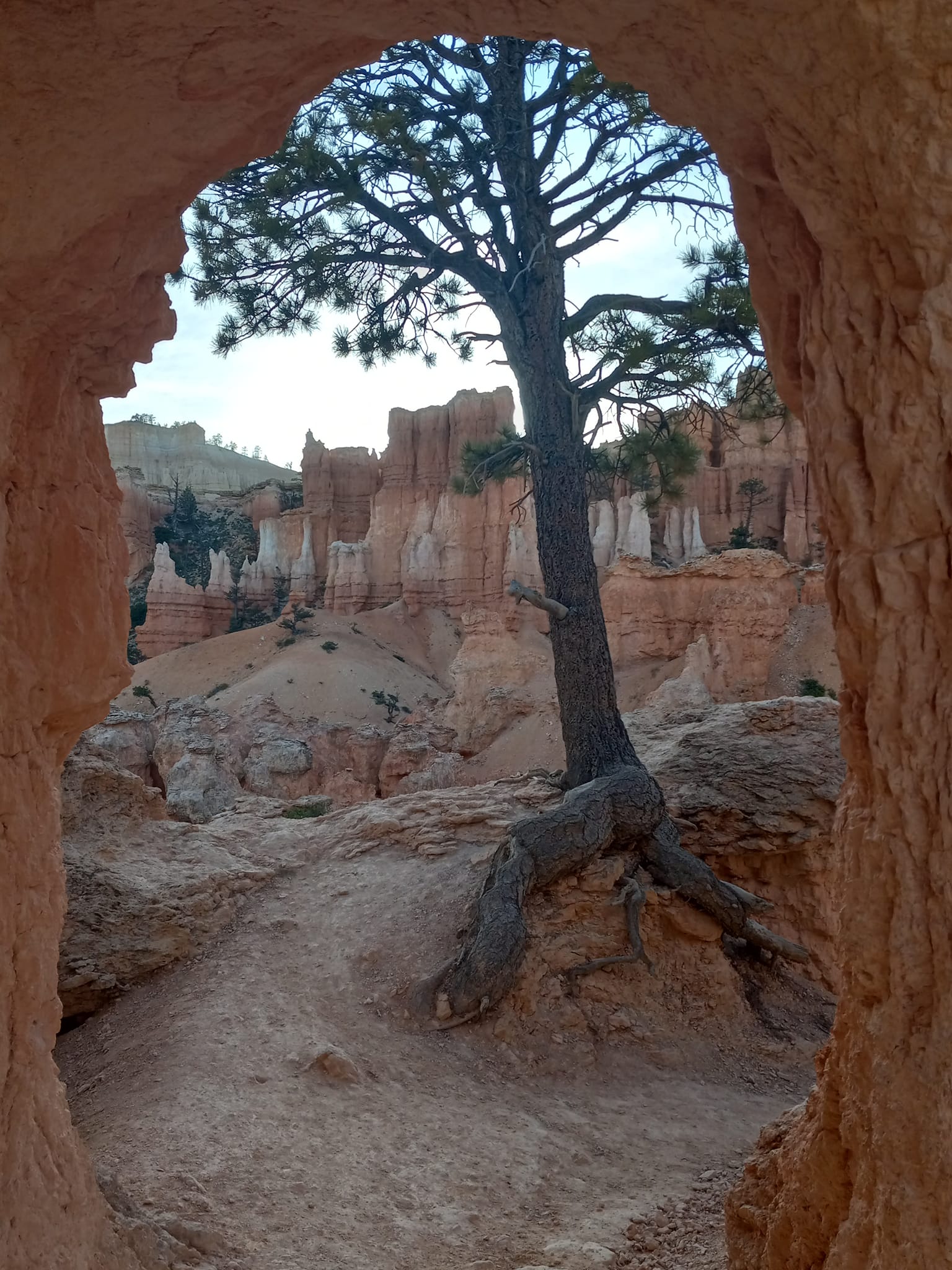 Campground Review: Bryce Valley Ranch RV and Horse Park. Located 